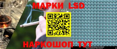стаф Дубна