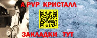 стаф Дубна