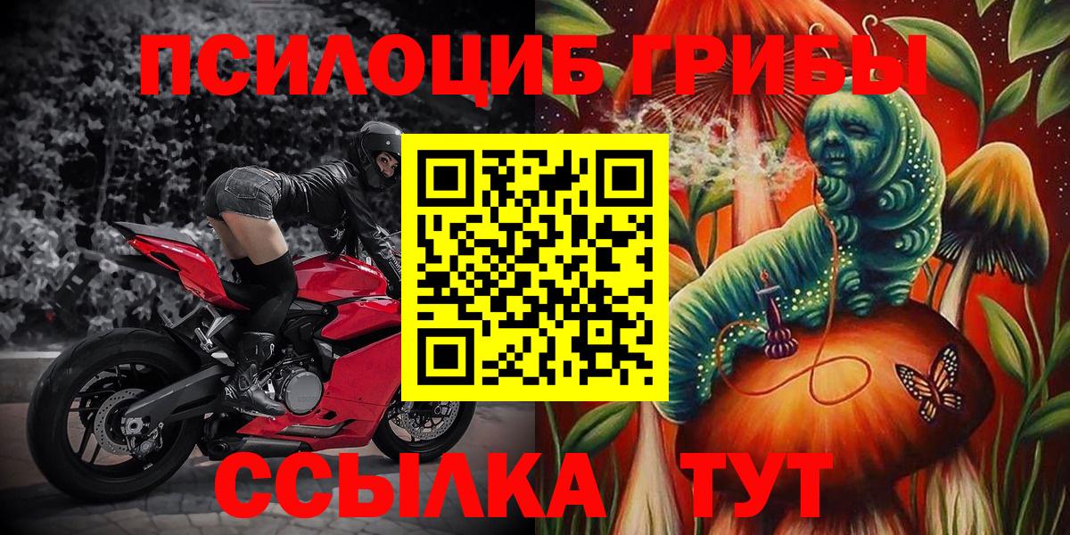 Псилоцибиновые грибы прущие грибы Муравленко