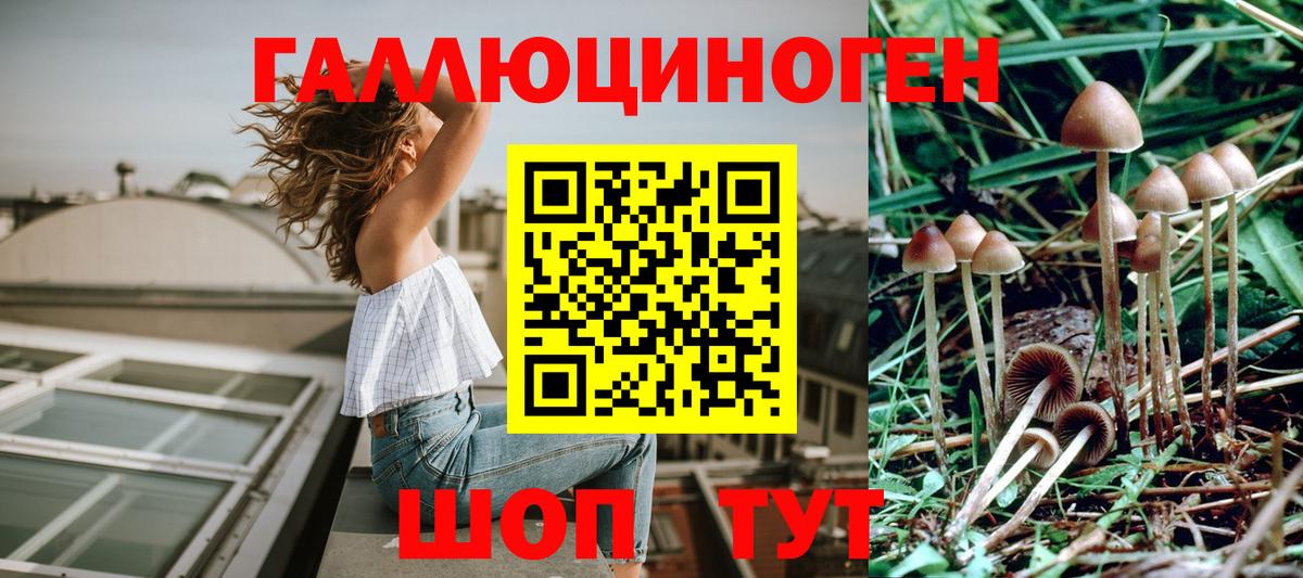 Муравленко  Псилоцибиновые грибы мицелий  Вход с VPN 